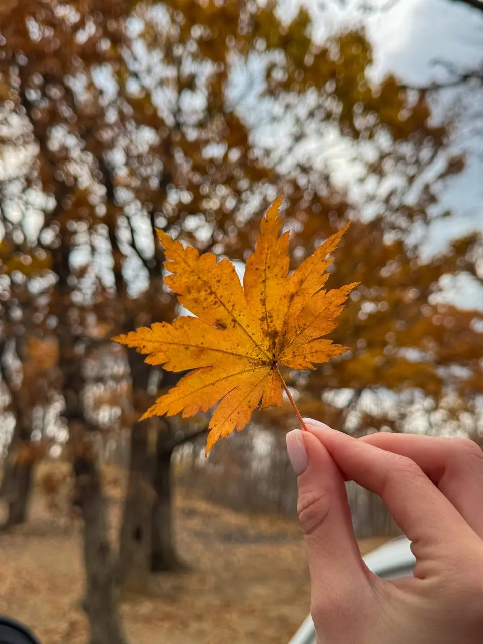 Фототур на полуостров Гамова в ноябре