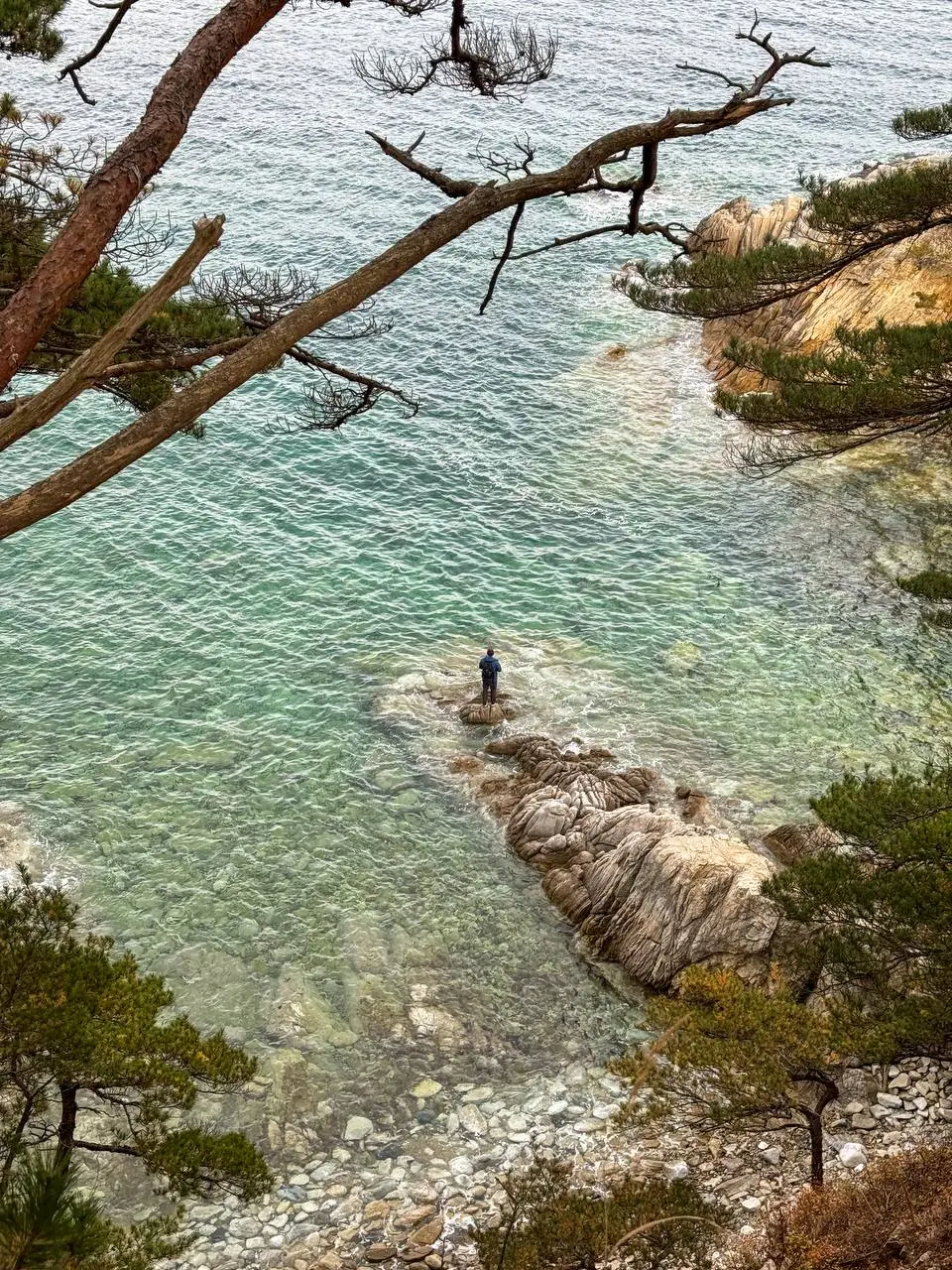 Фототур на полуостров Гамова в ноябре