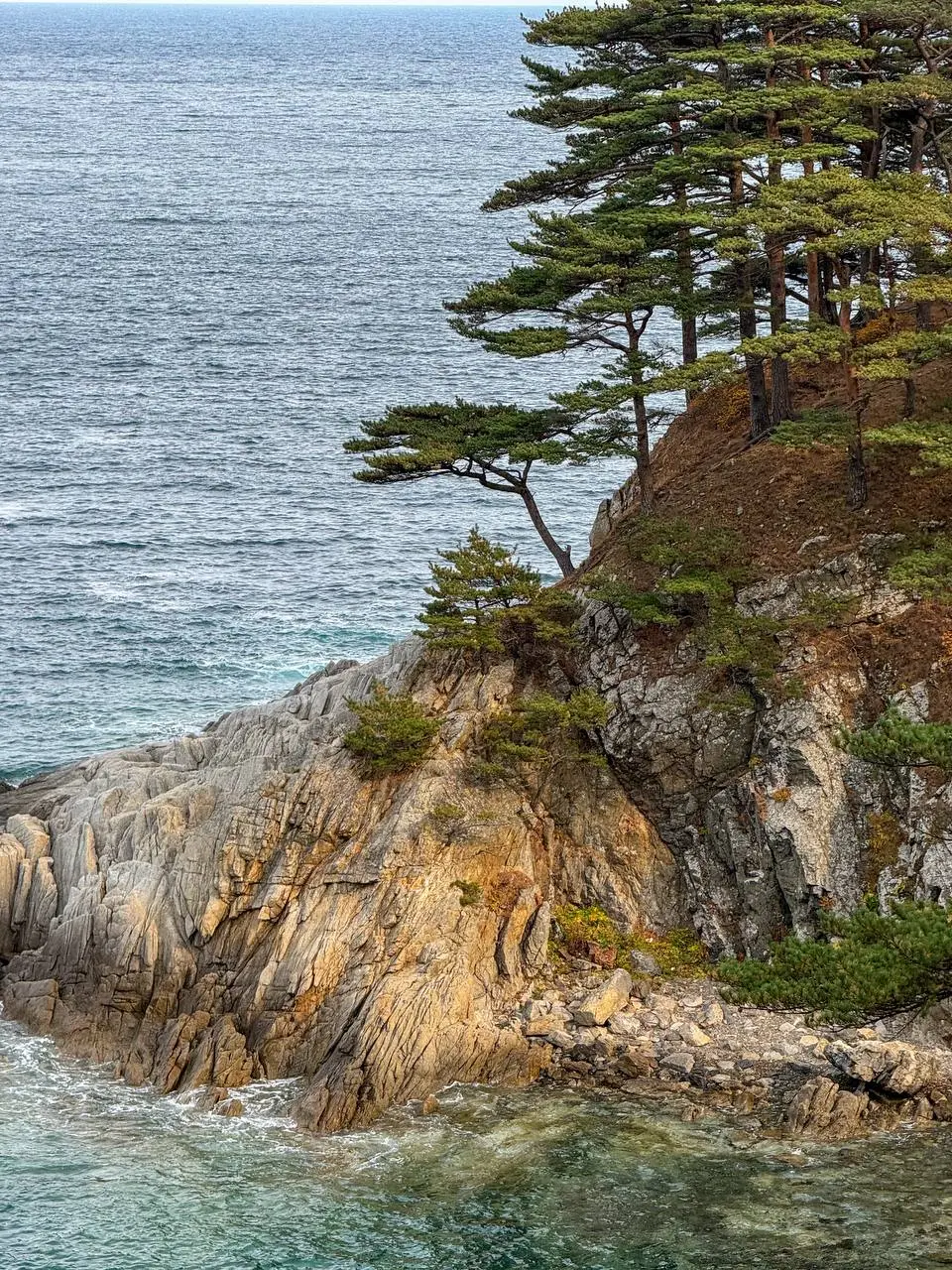 Фототур на полуостров Гамова в ноябре