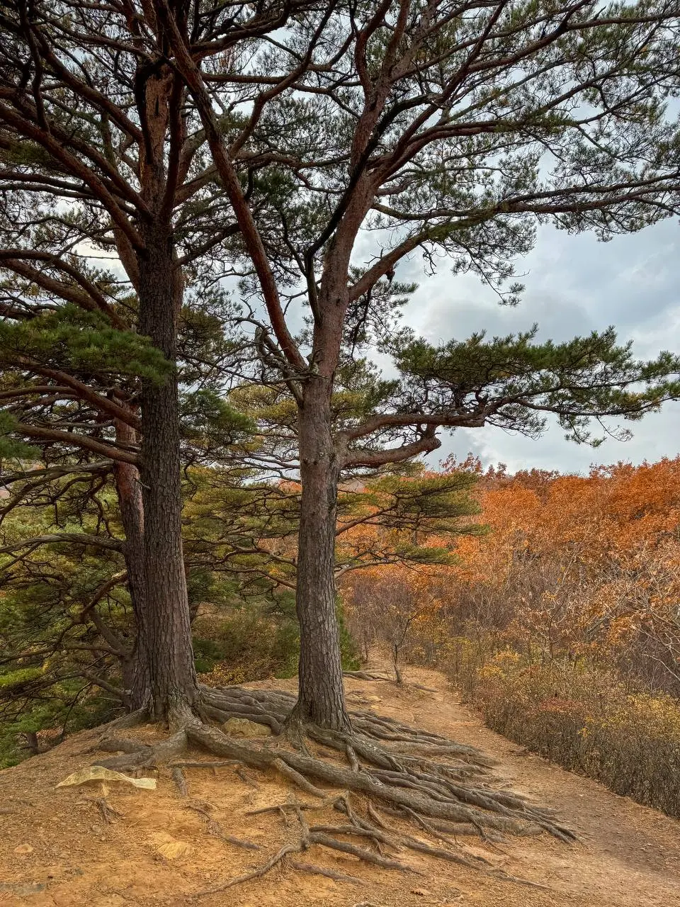 Фототур на полуостров Гамова в ноябре