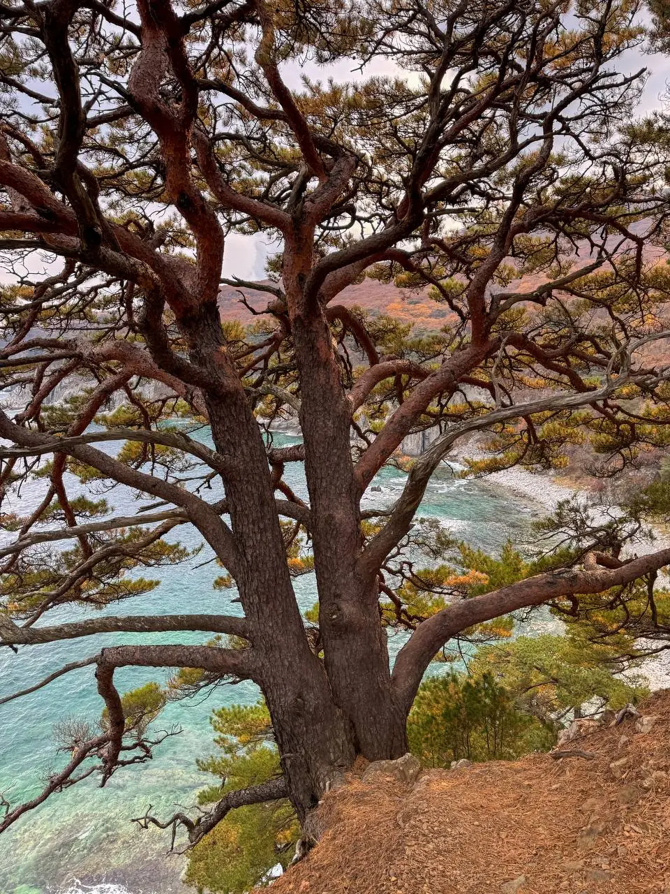 Фототур на полуостров Гамова в ноябре