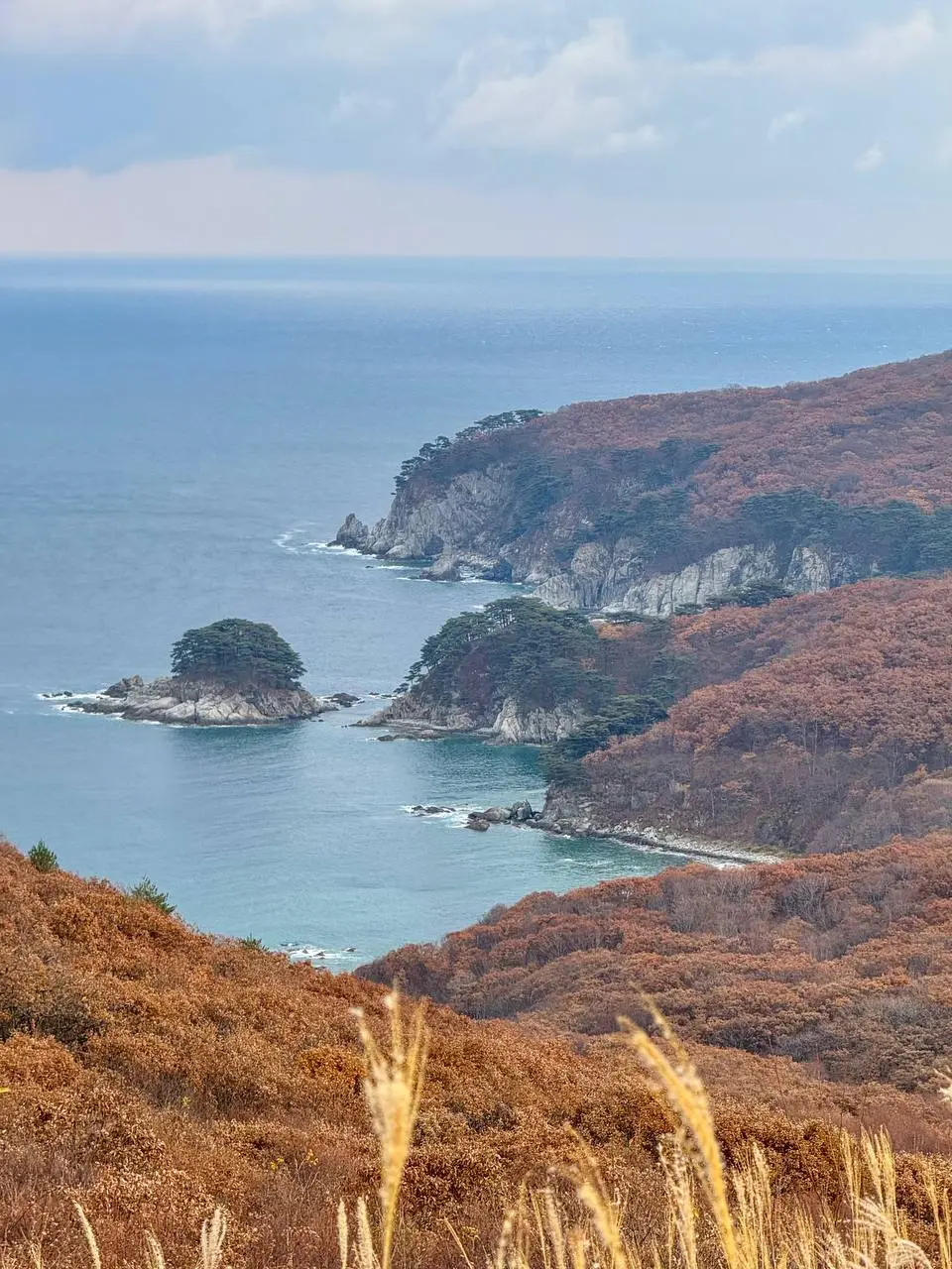 Фототур на полуостров Гамова в ноябре