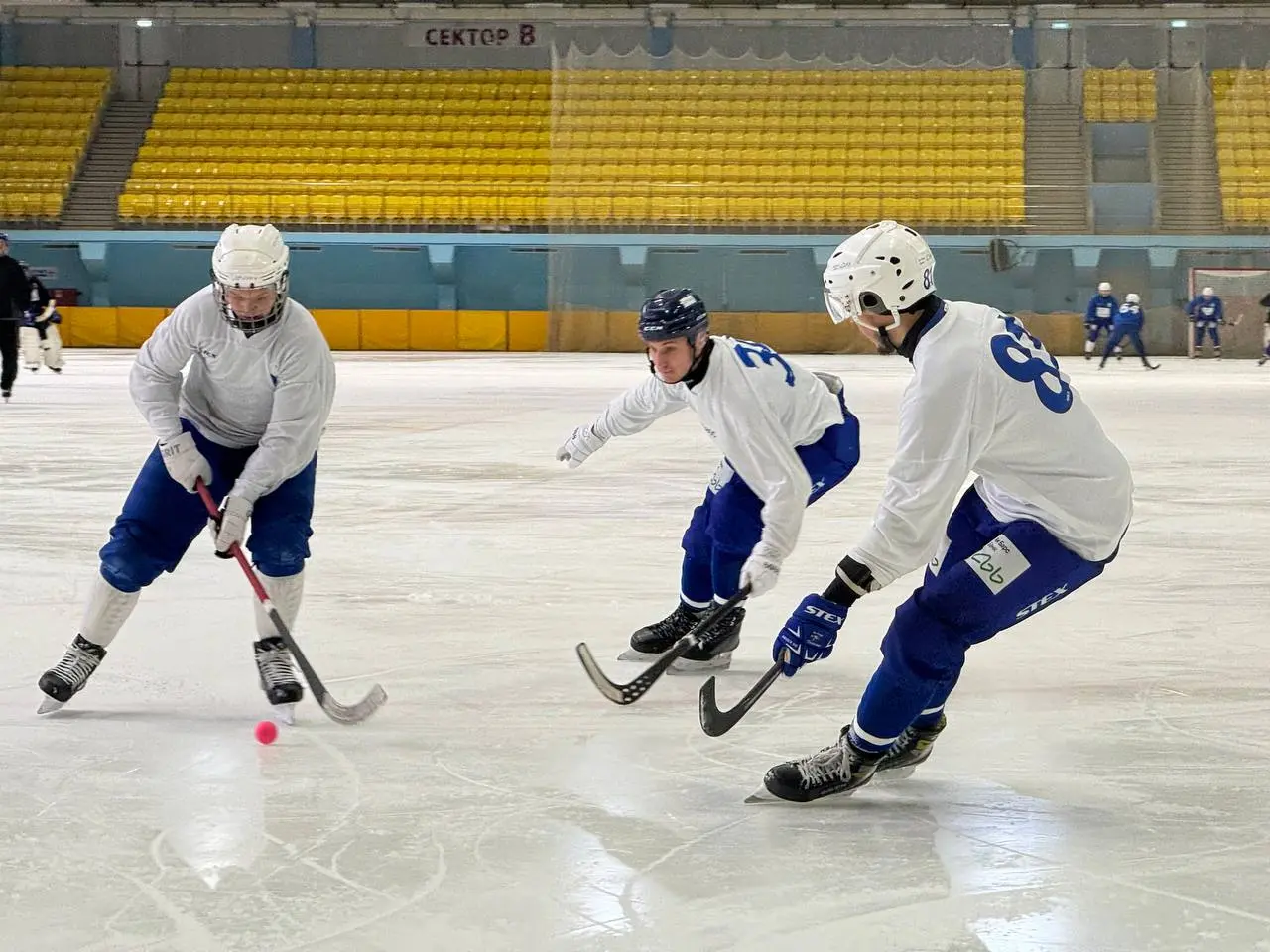 Чемпионат России 2025/26: Волга-Спорт-Арена — Волга vs Ак Барс-Динамо