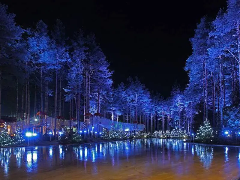 Первый каток сезона в Охта Парке: Лесной каток