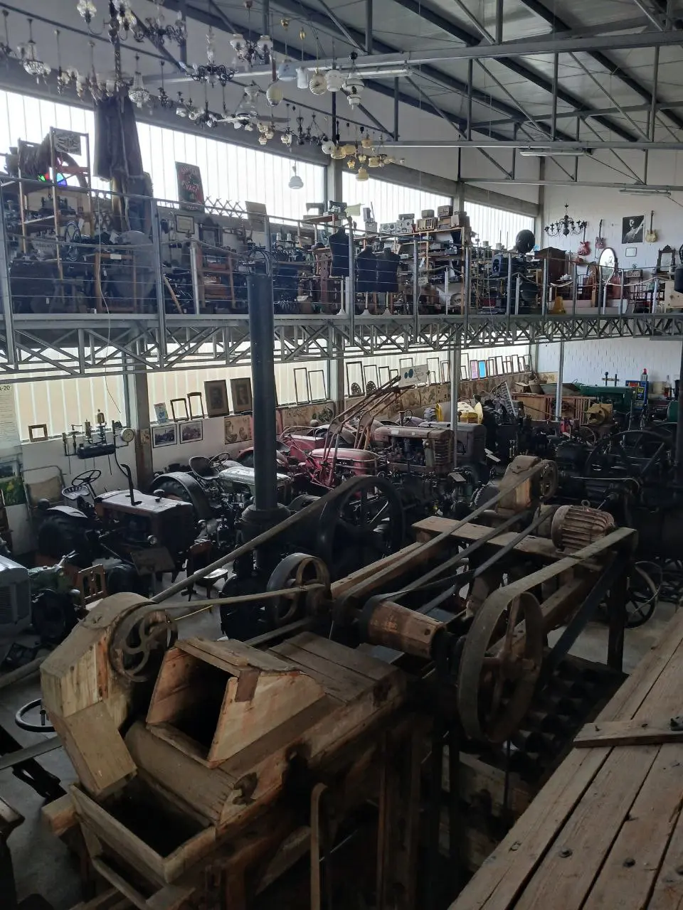 Кикинда и спа-термы-город, где обитают совы