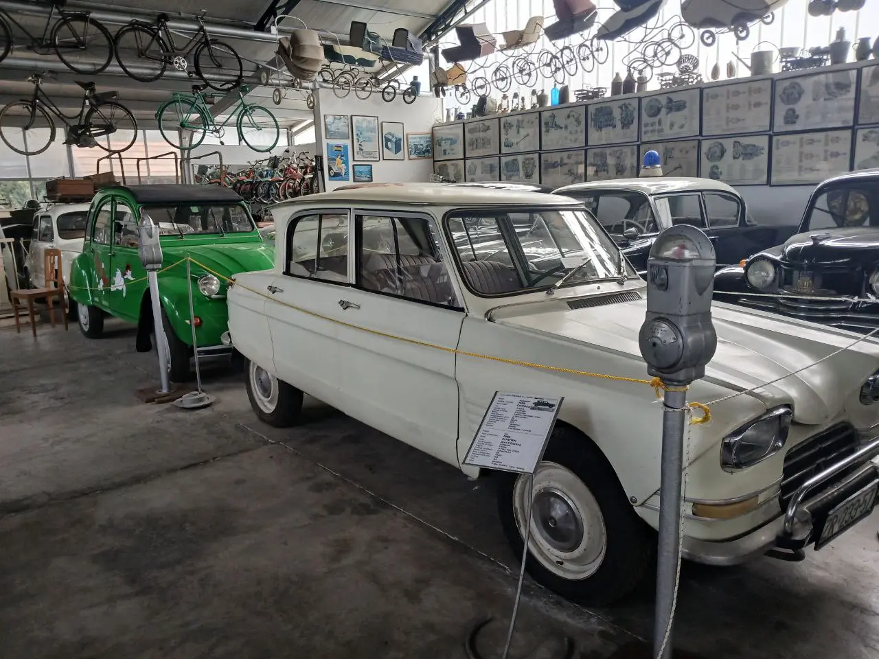 Кикинда и спа-термы-город, где обитают совы