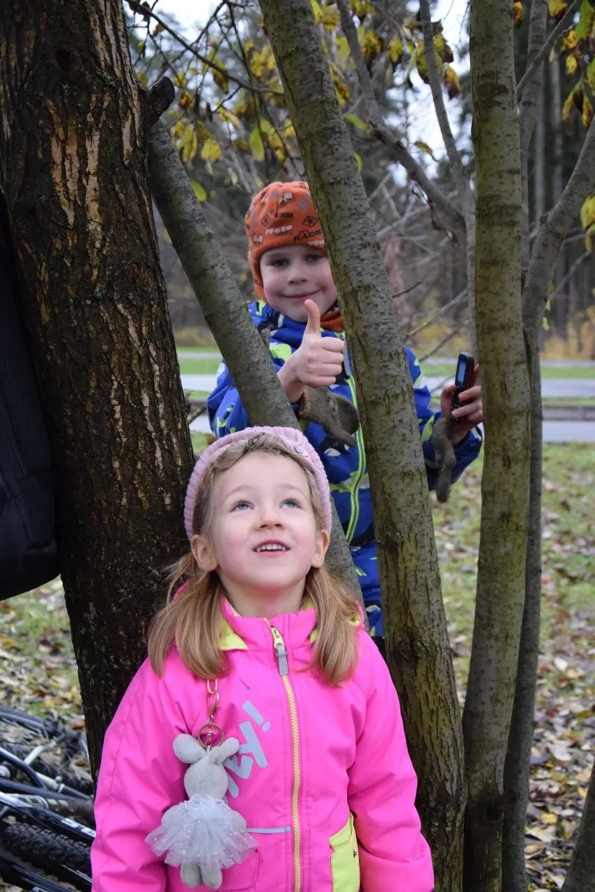 Запись волонтёров на 08.11.2025