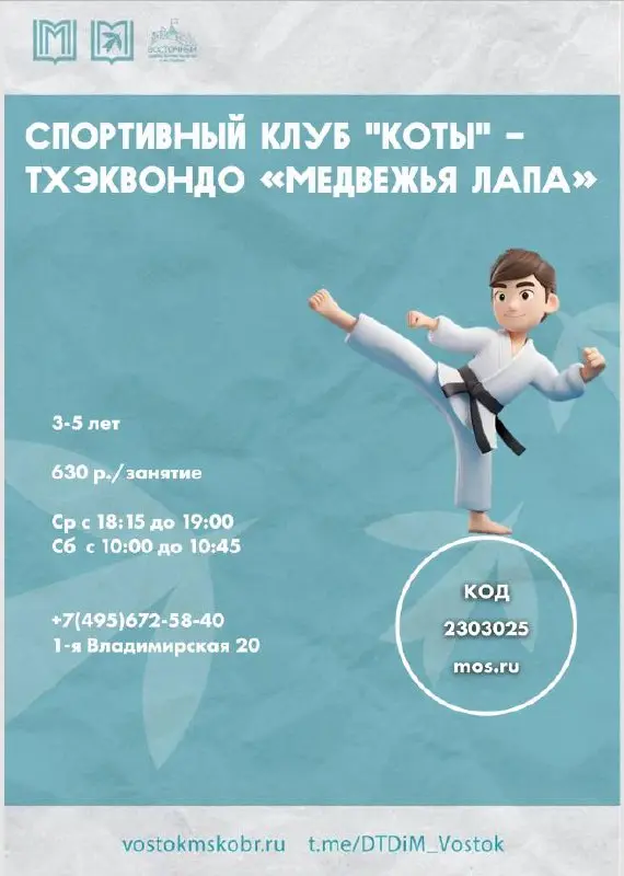 Тхэквондо кружки и набор в секции