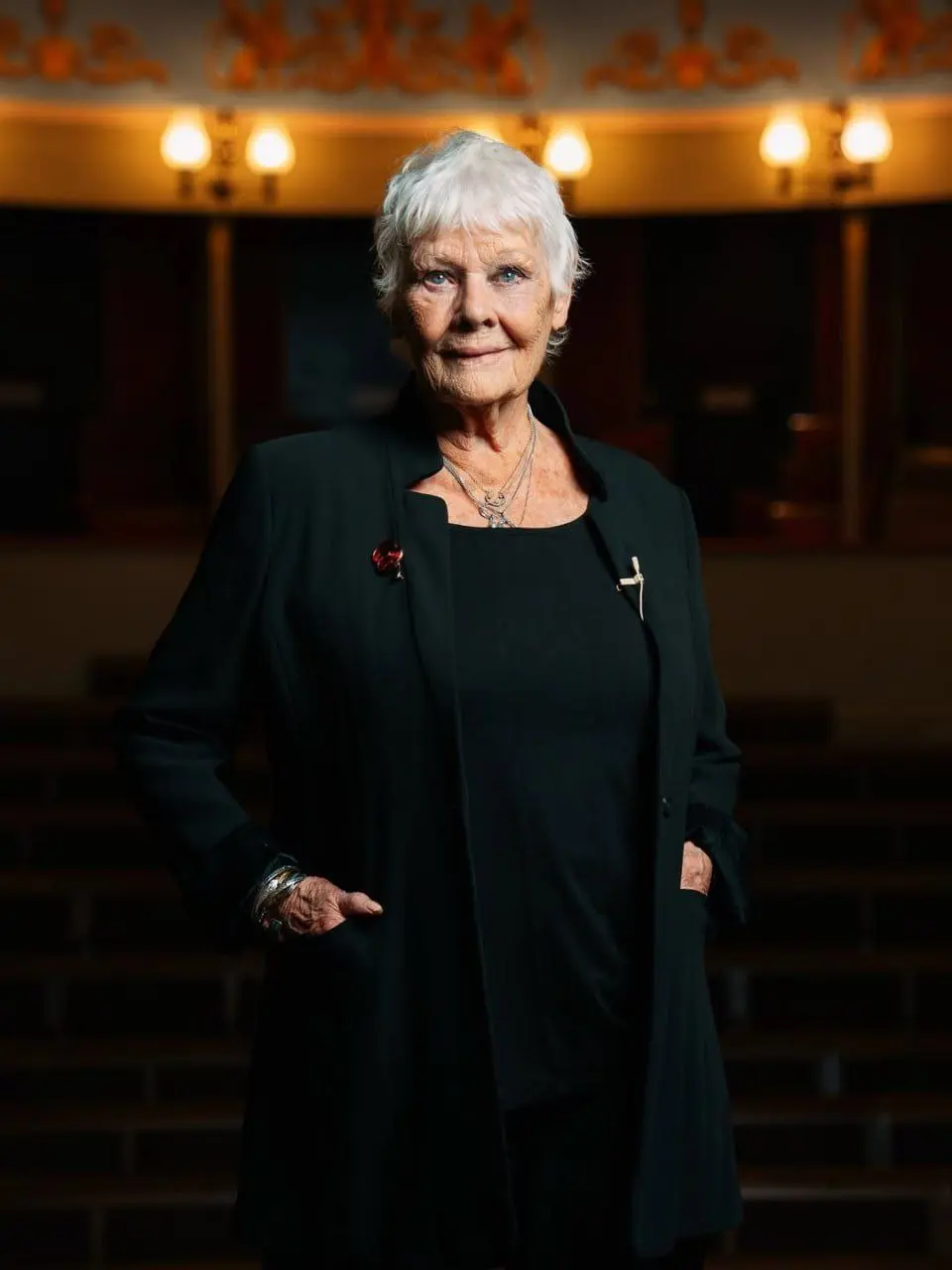 Абсолютно неотразимые, наши любимые дама Джуди Денч и сэр Дерек Джекоби на сцене Theatre Royal Bury St Edmunds