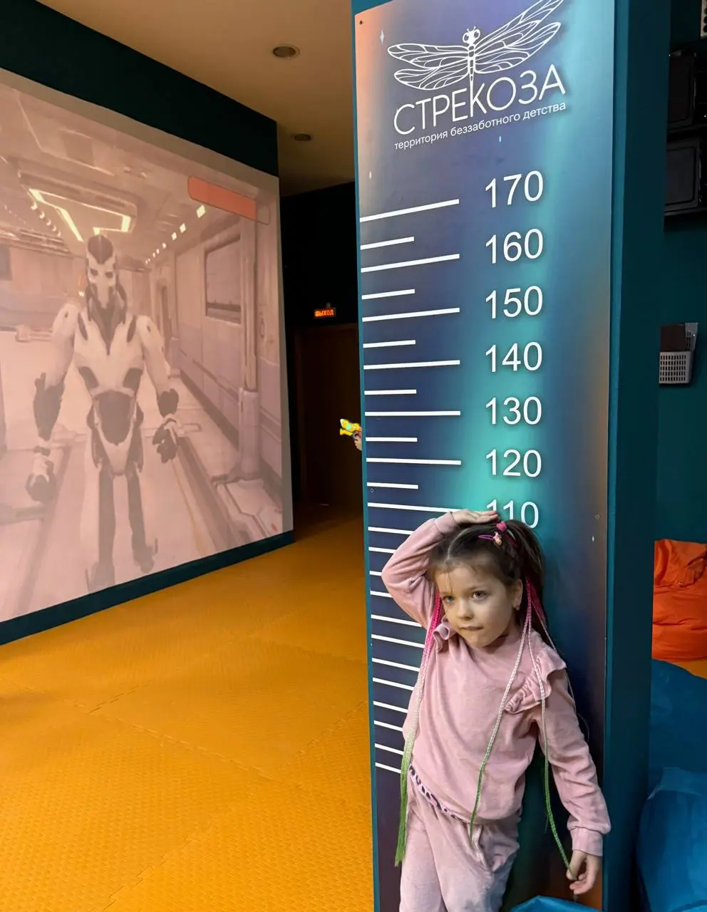 Стрекоза - детский интерактивный парк