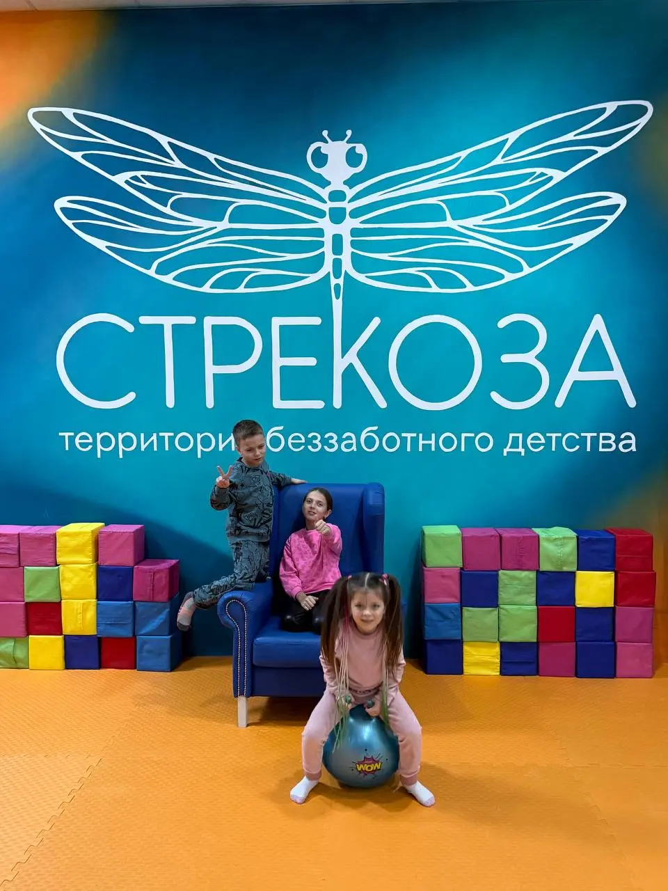 Стрекоза - детский интерактивный парк