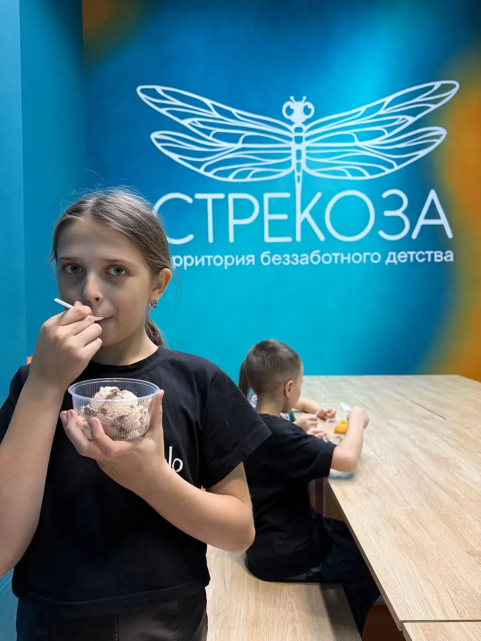 Стрекоза - детский интерактивный парк