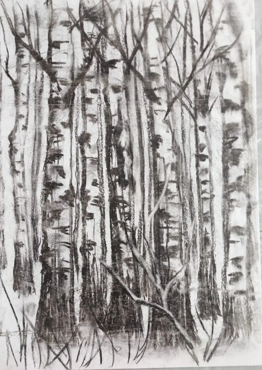 Мастер-класс «Березовая роща» углем от Натальи Дульцевой
