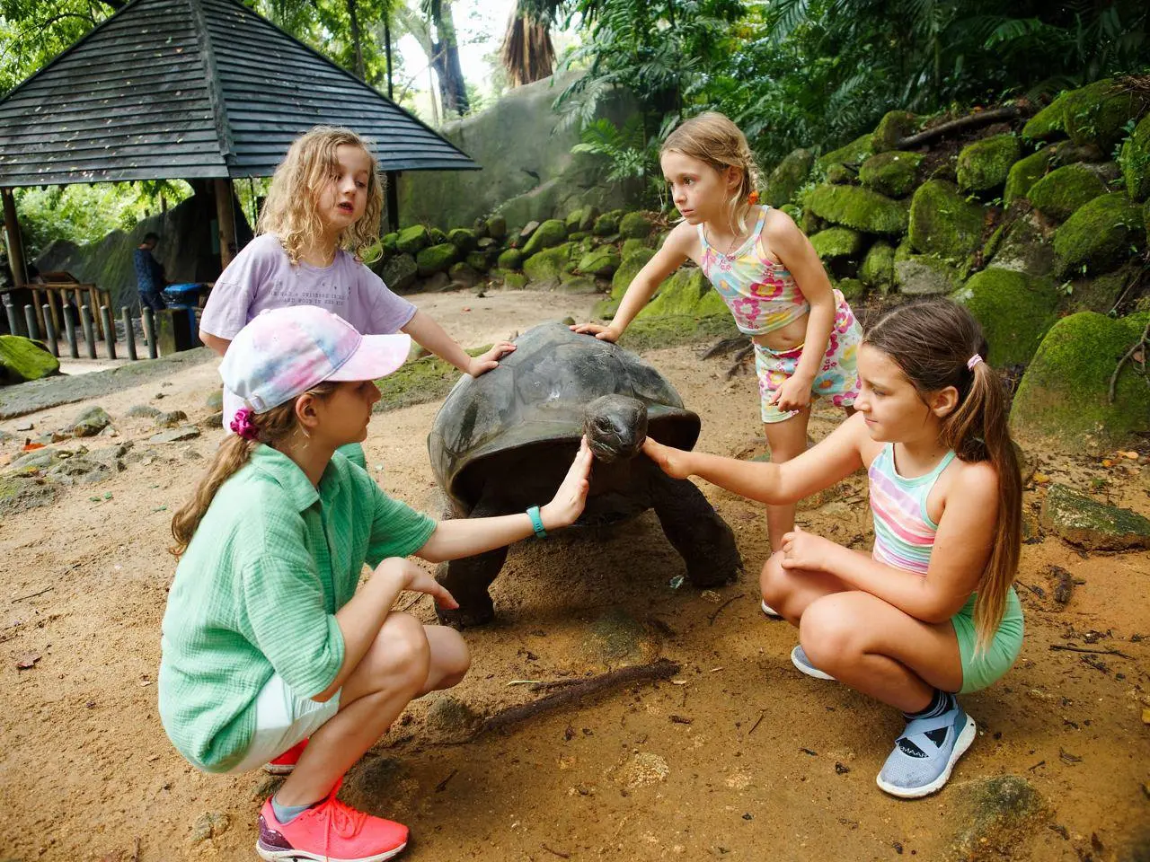 Сейшелы: семейная регата, фридайвинг и трекинг