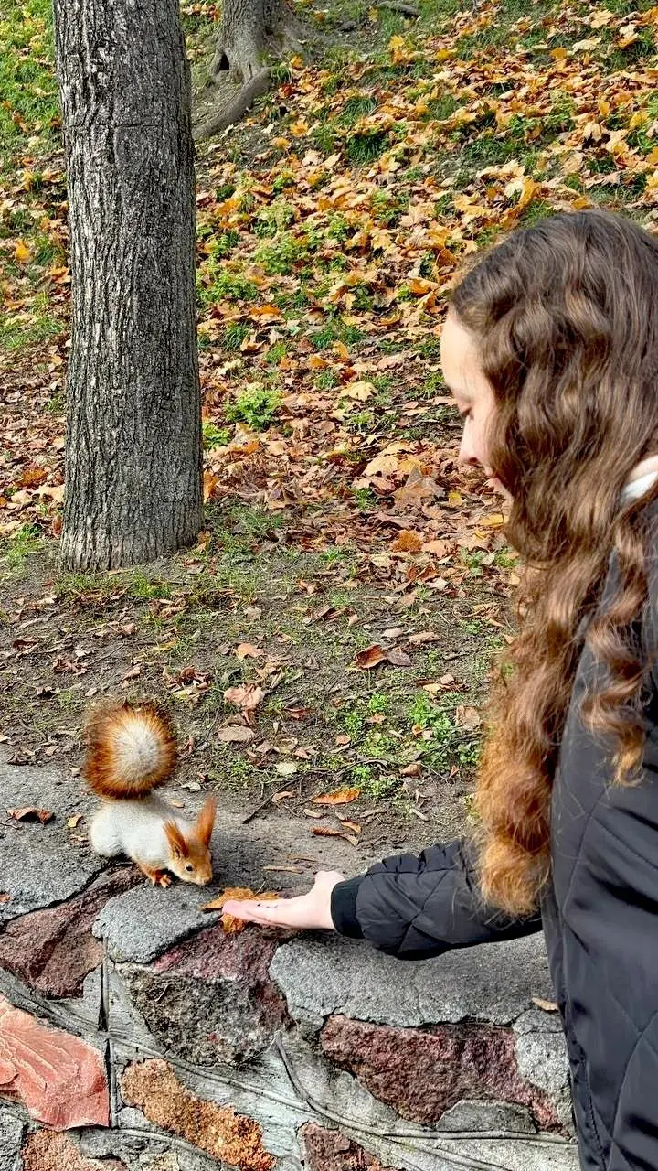 Экскурсия учащихся 5"Г" и 10"Б" классов по Гомельскому областному музею военной славы