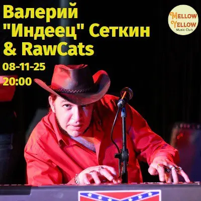 Валерий Сеткин & RaWCats, концерт в Москве