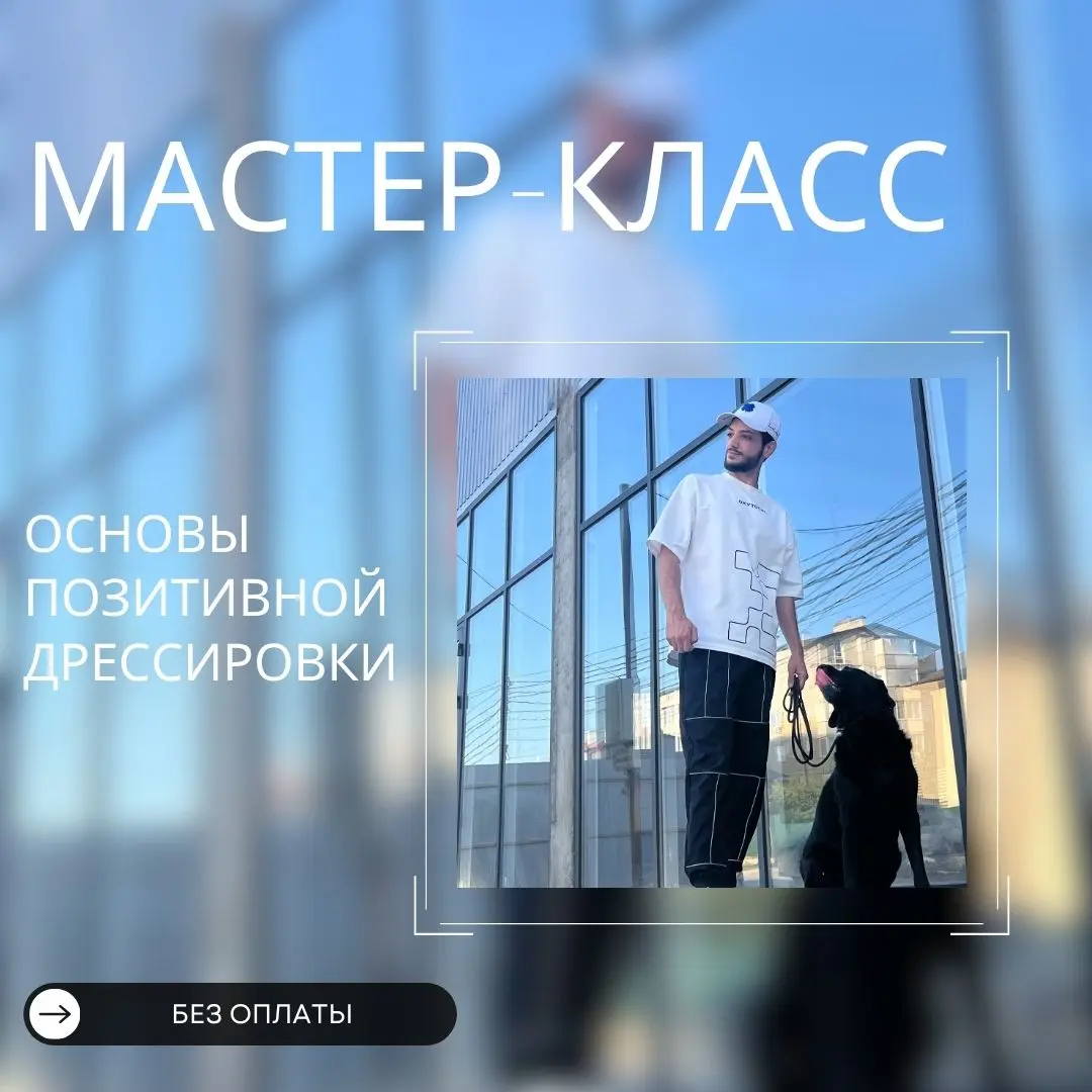 Мастер-класс "Основы позитивной дрессировки"