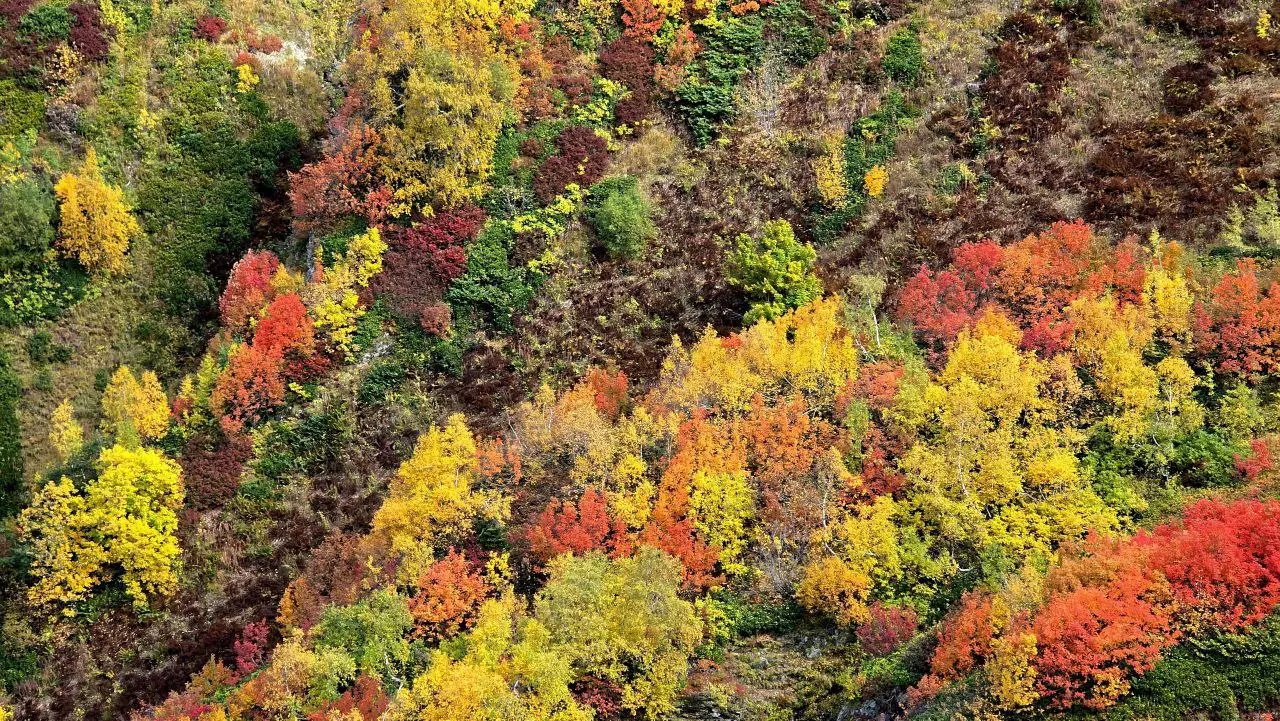 Краски осени в горах Сочи
