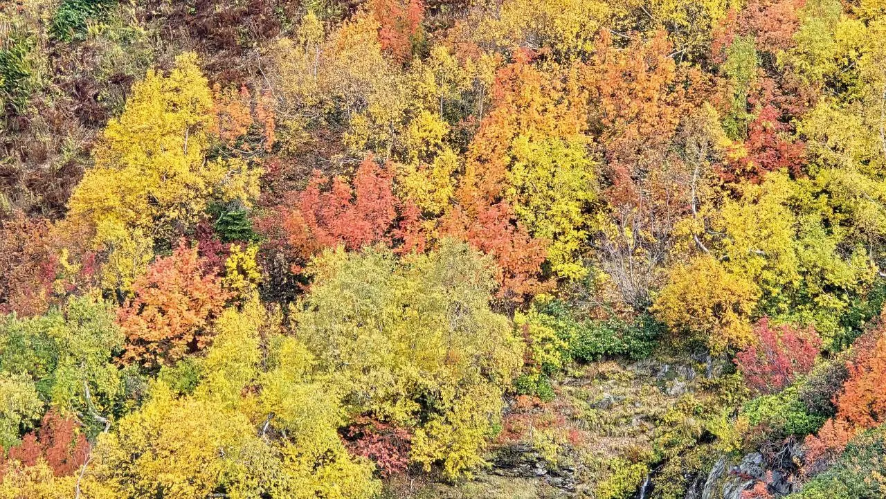 Краски осени в горах Сочи