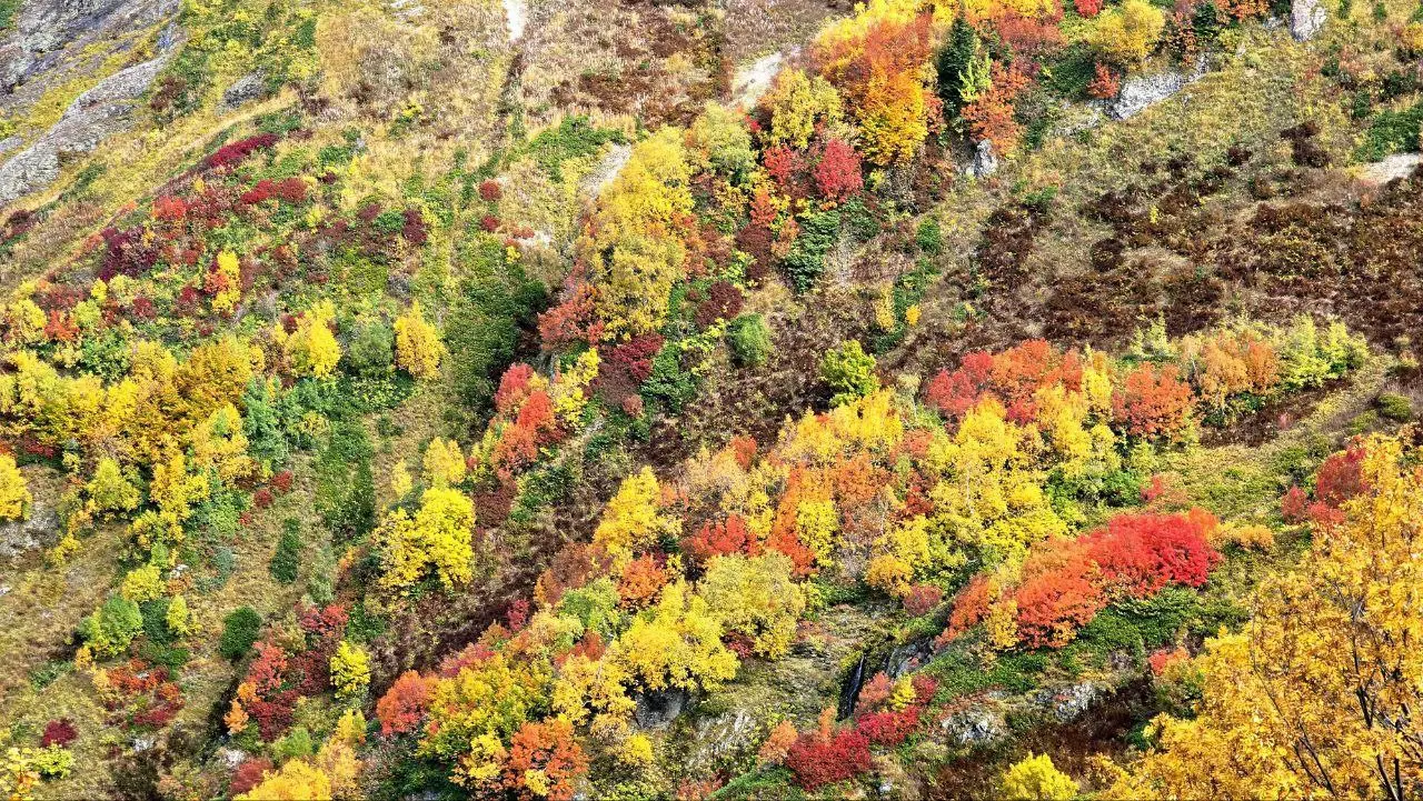 Краски осени в горах Сочи