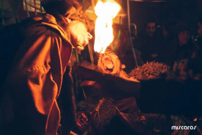 Поездка на грибной фестиваль