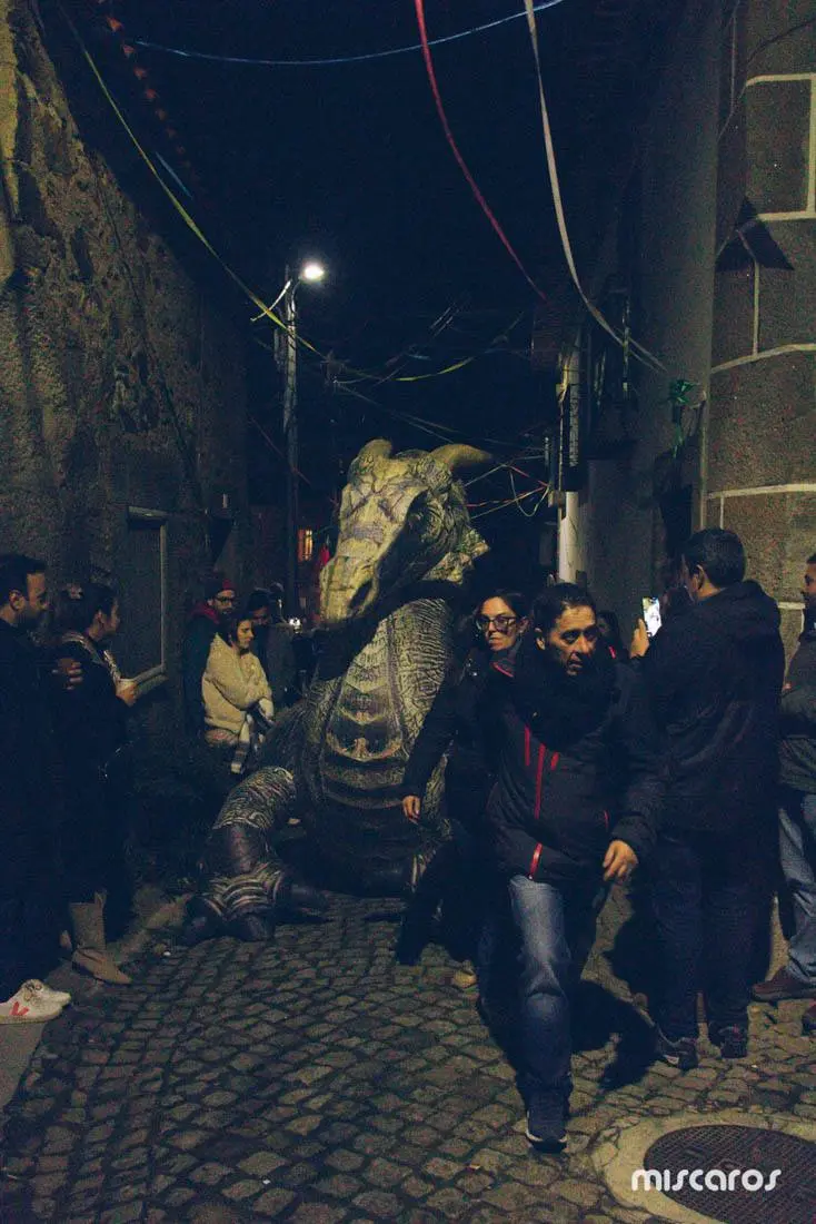 Поездка на грибной фестиваль