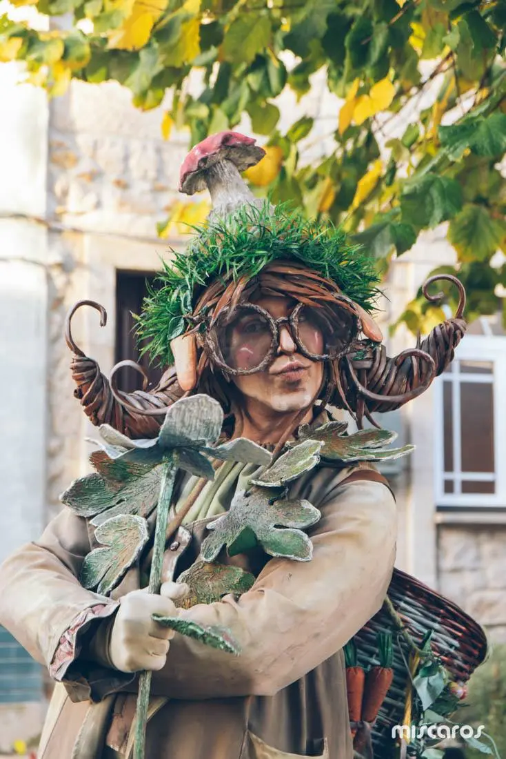 Поездка на грибной фестиваль