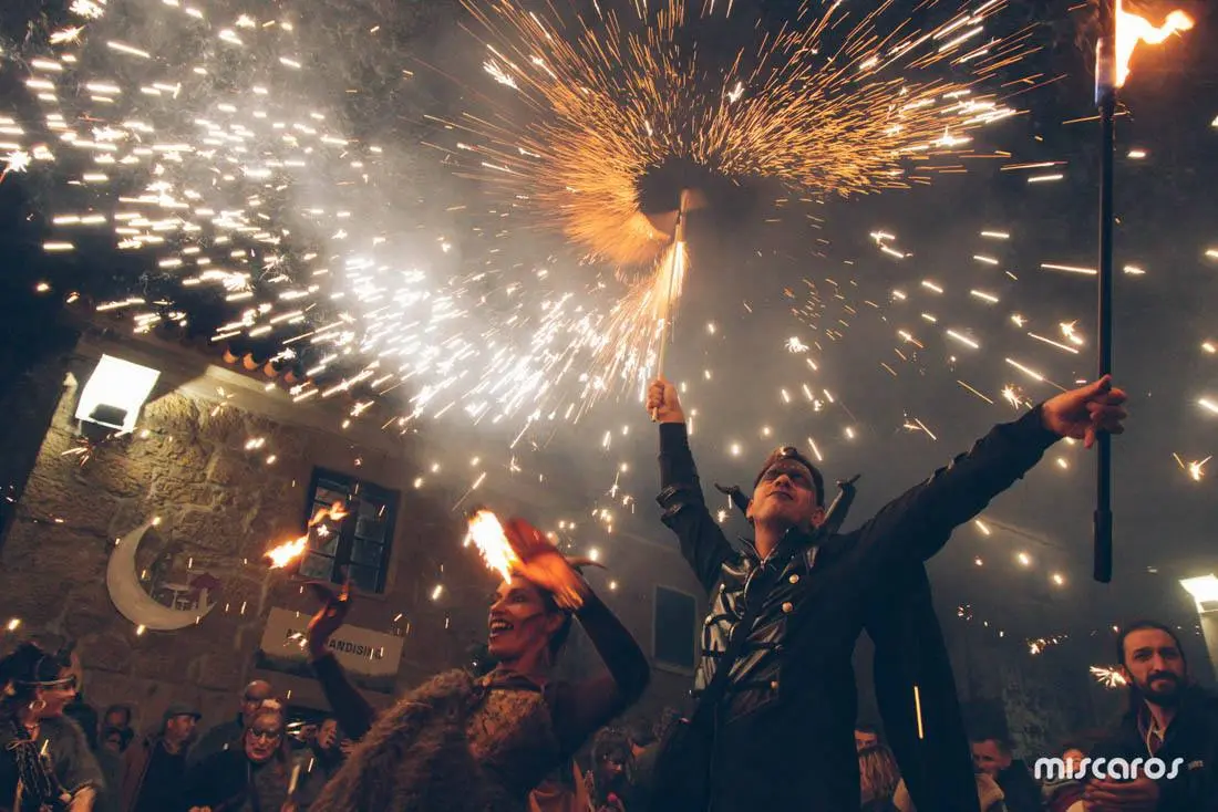 Поездка на грибной фестиваль