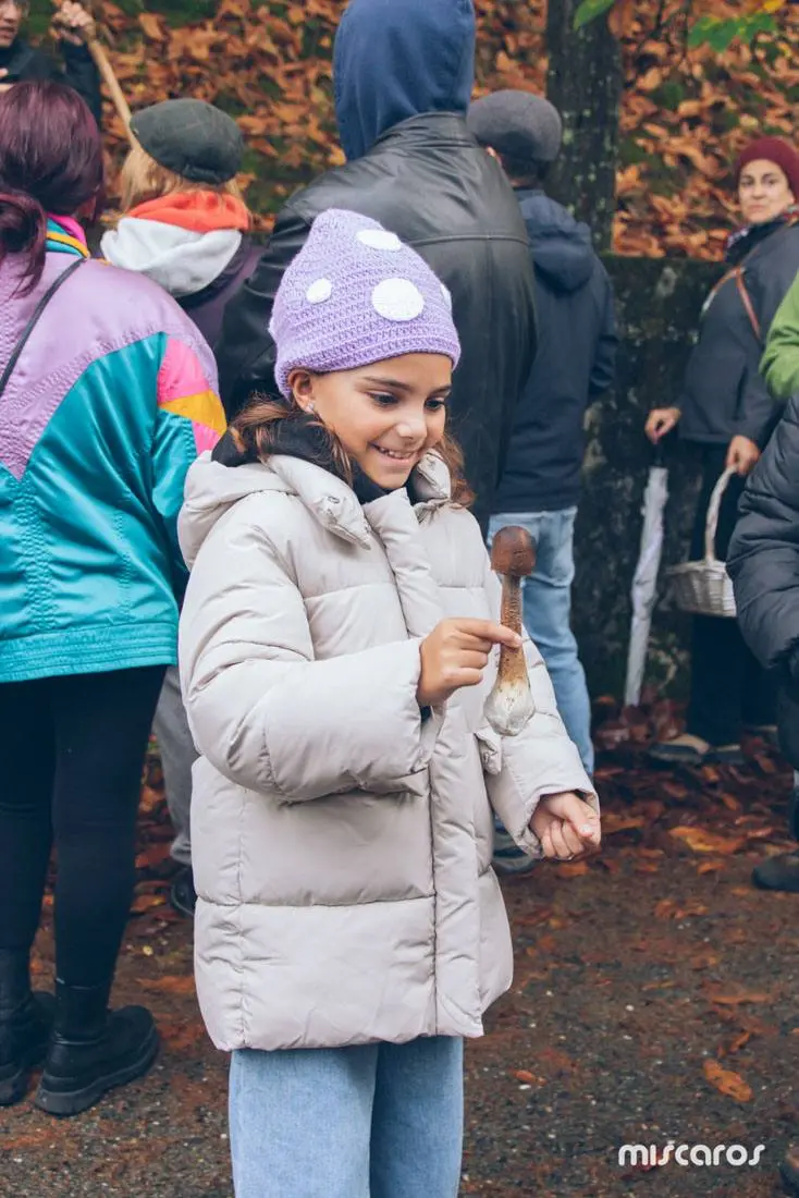 Поездка на грибной фестиваль