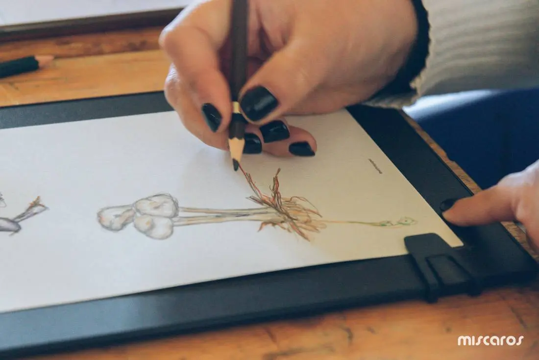 Поездка на грибной фестиваль