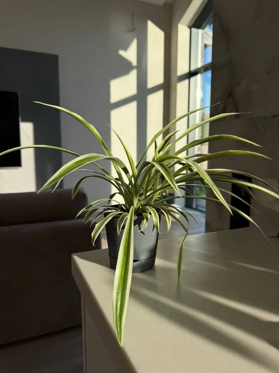 ФЛОРИСТИЧЕСКИЙ мастер-класс для детей