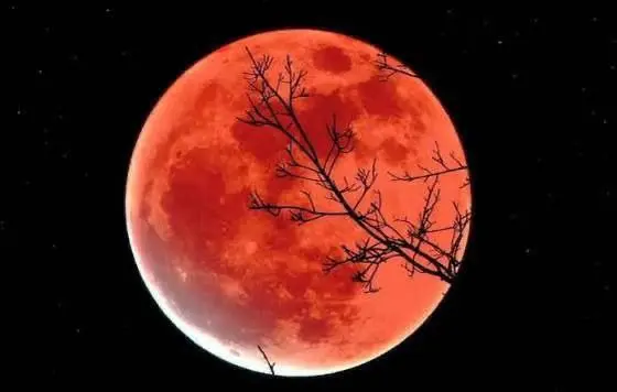 бобровое затмение