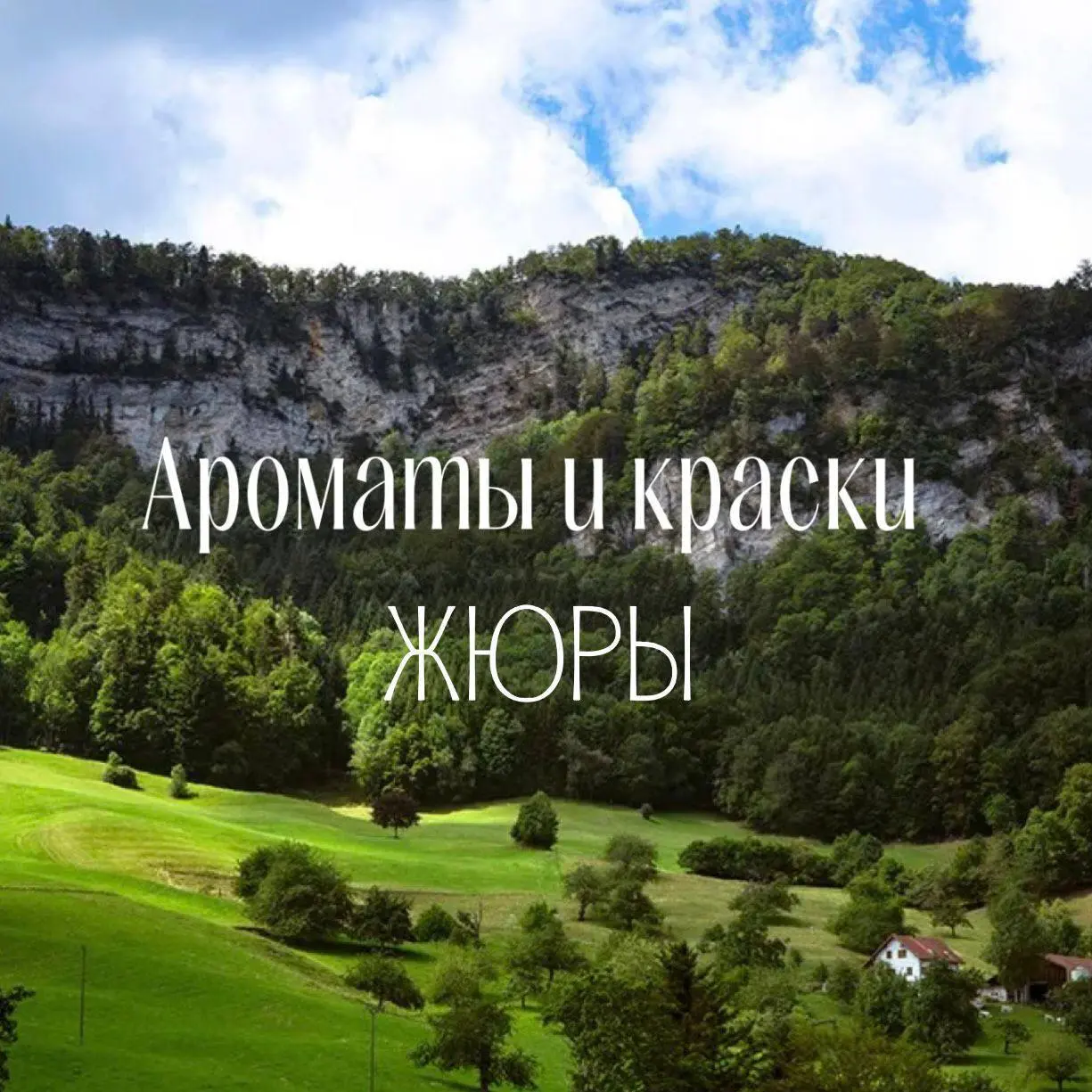 Винная дегустация в регионе Жюра