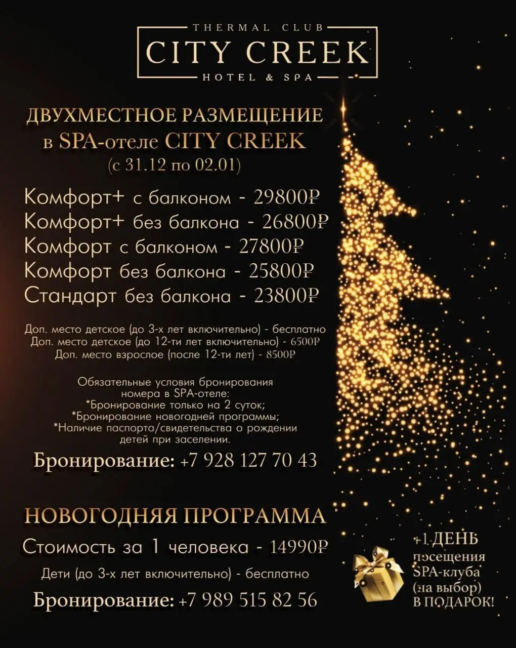 Новогодняя ночь 2025 в City Creek Hotel