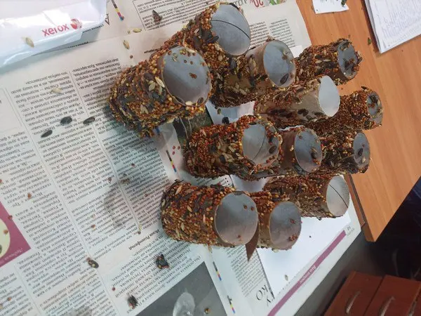 Эко- кормушки для птиц и зверей