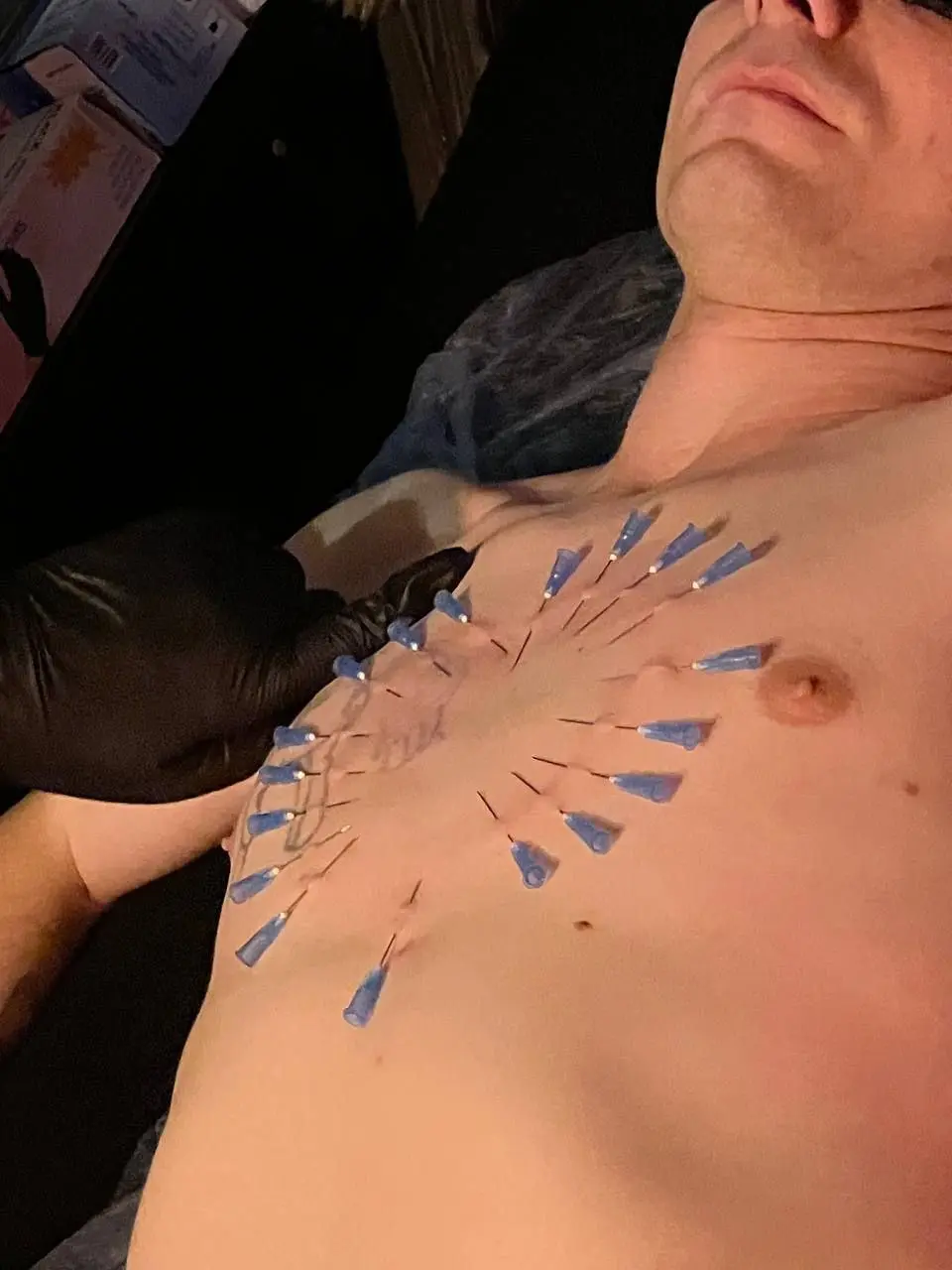 Перо павлина камерный вечер