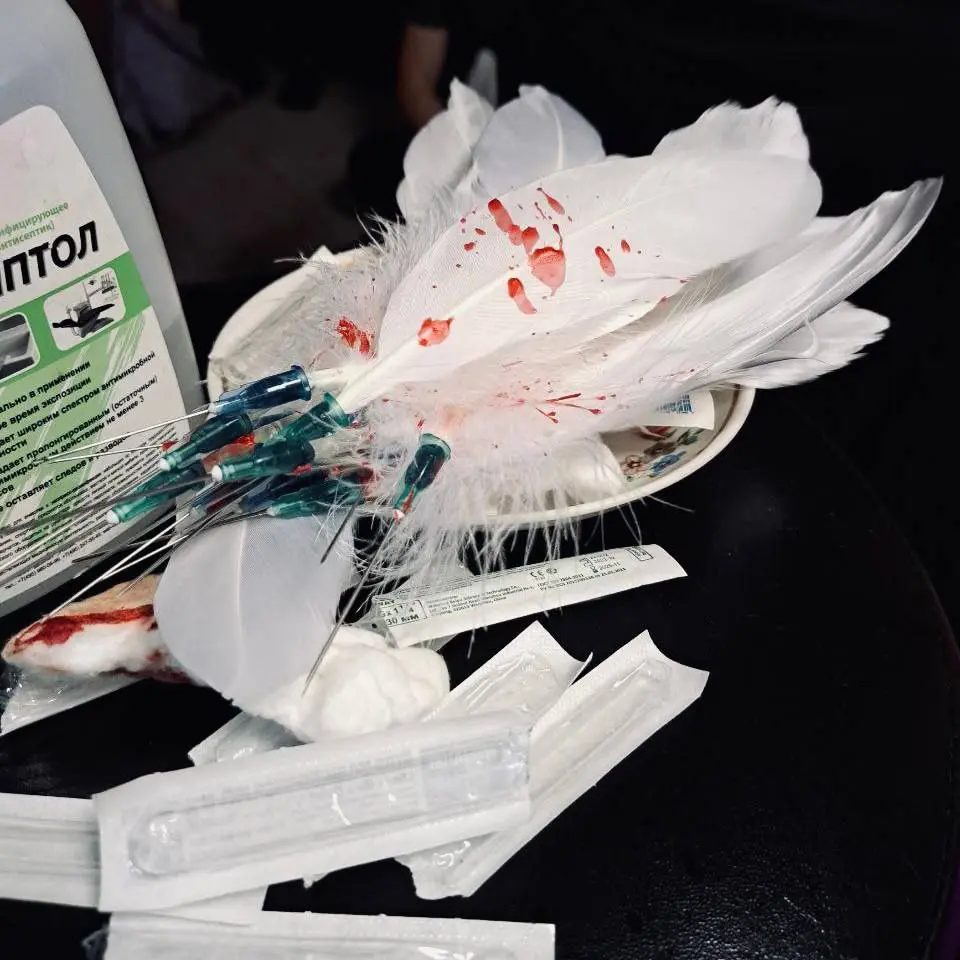 Перо павлина камерный вечер