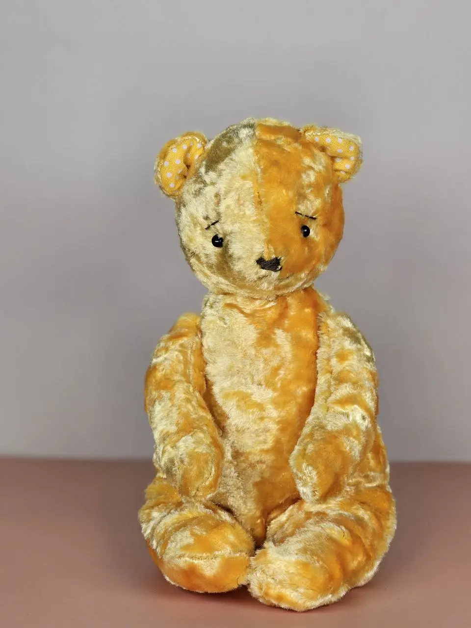 Master-class in Novi Sad