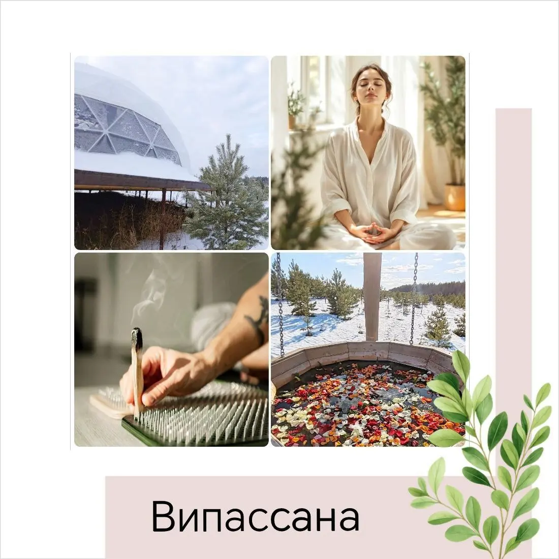 Випассана (ретрит тишины)