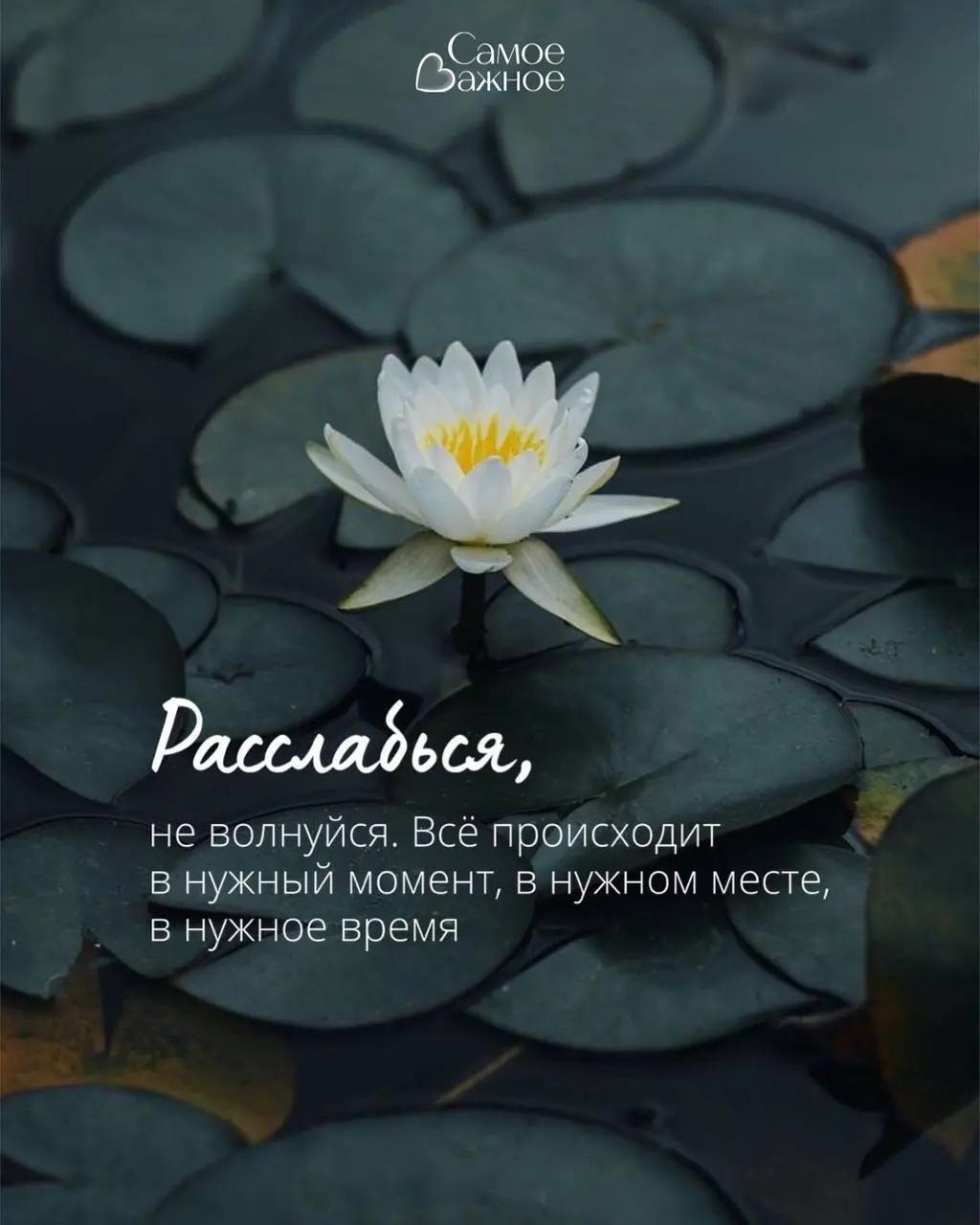 Измерение Женщины — королевский девичник