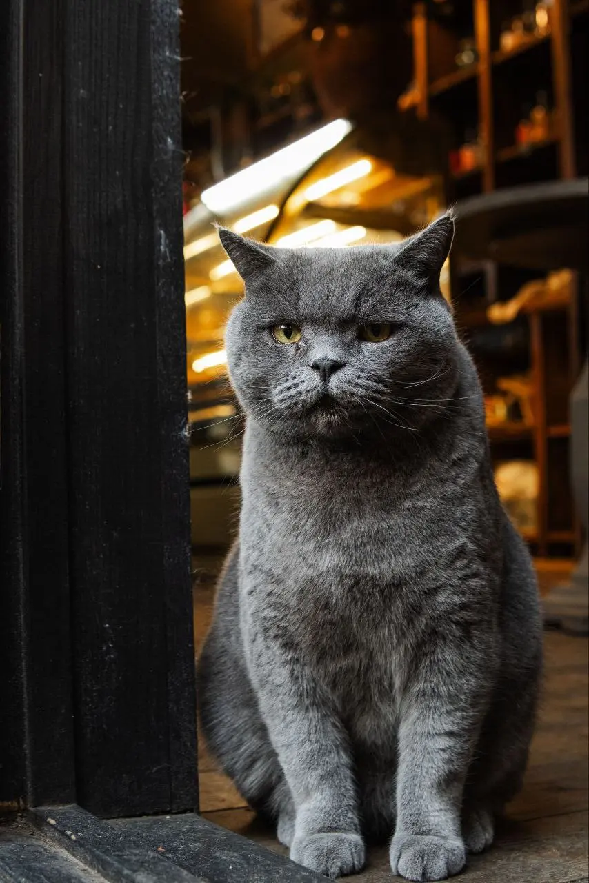 МАСТЕР-КЛАСС: ароматическая свеча (осенний сезон)