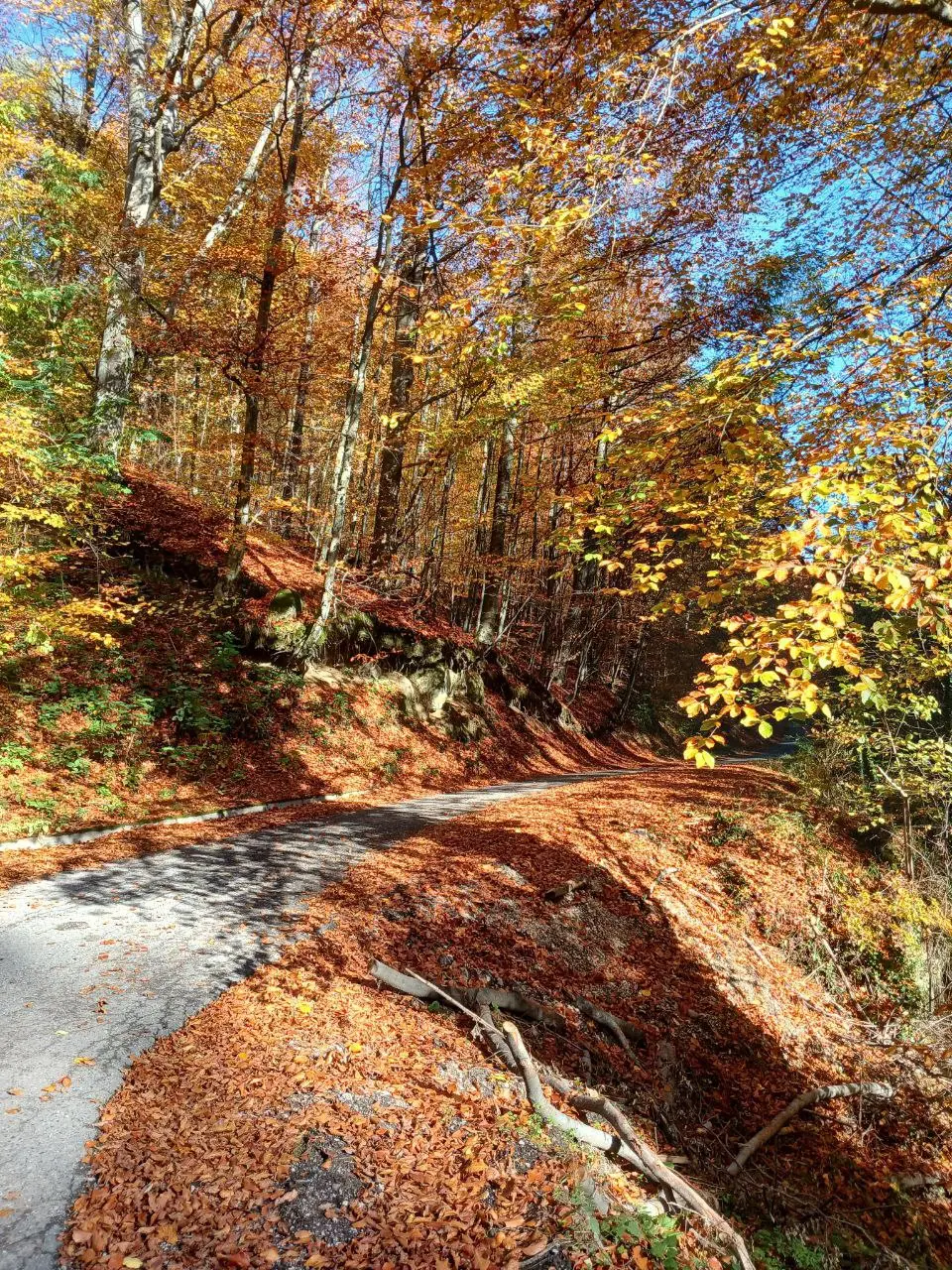 Осень в Сербии: экскурсии и прогулки по крепостям