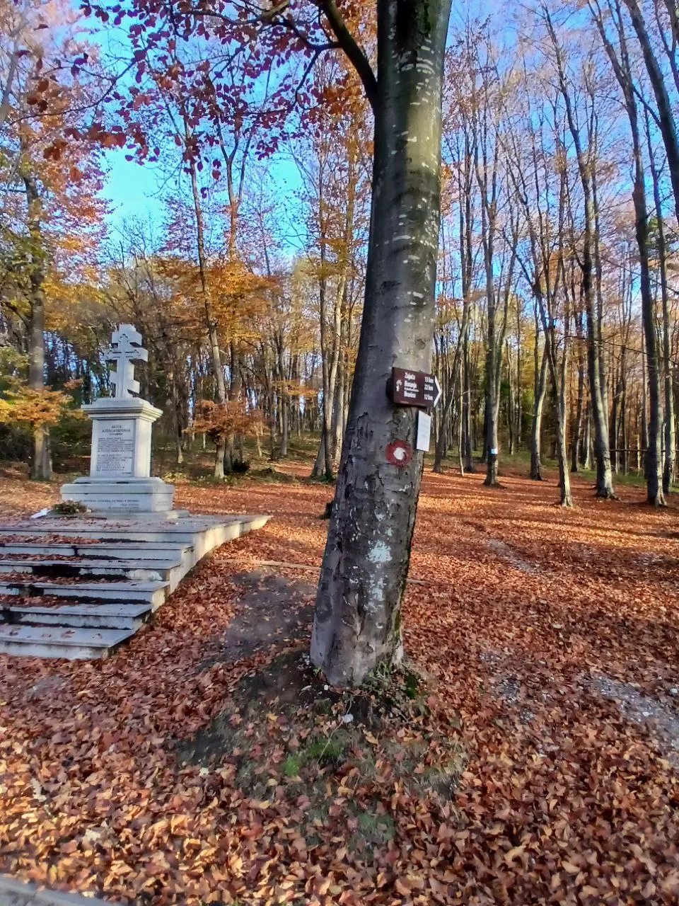 Осень в Сербии: экскурсии и прогулки по крепостям