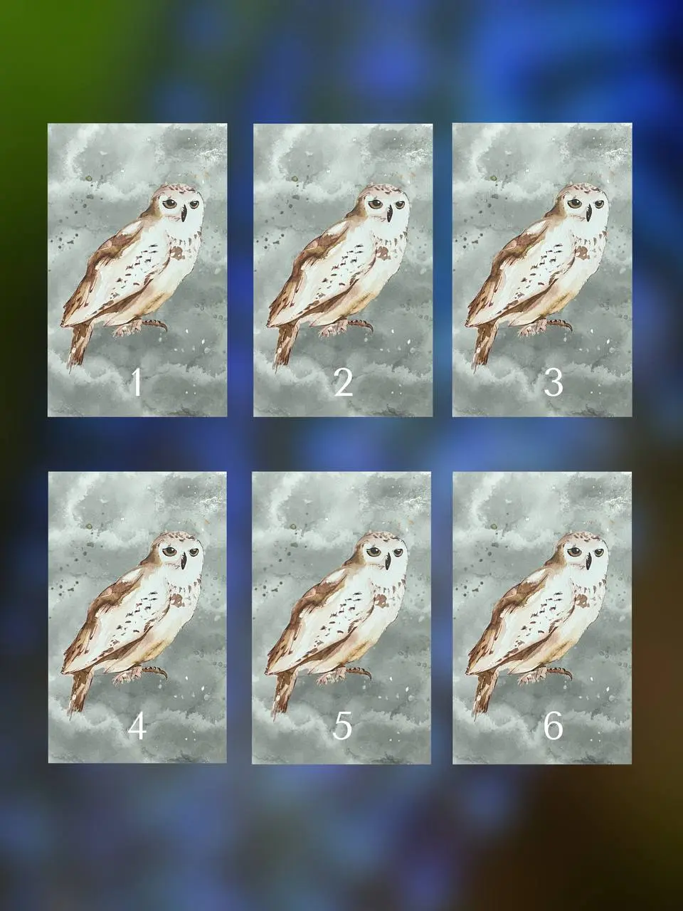 Мероприятие по работе с картами-подсказками