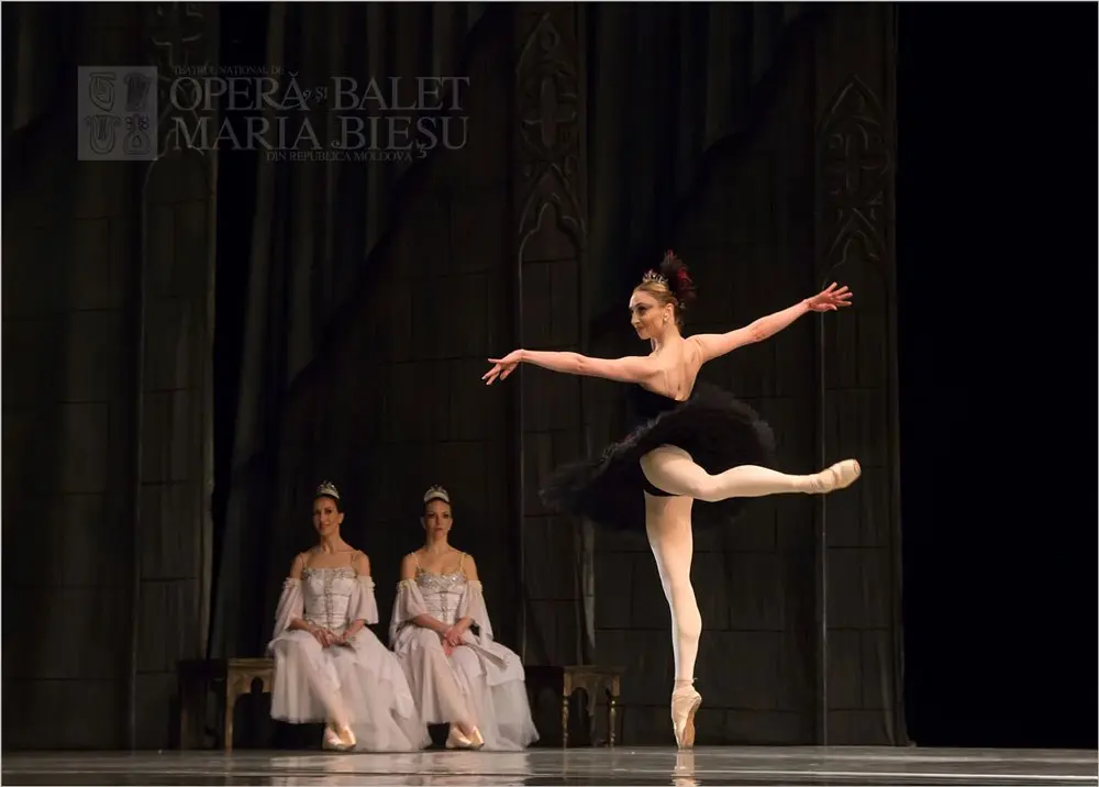 Лебединое озеро