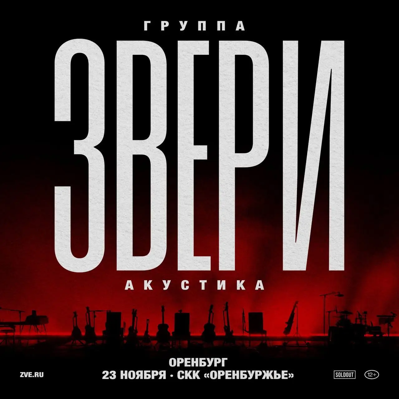 Звери акустический концерт