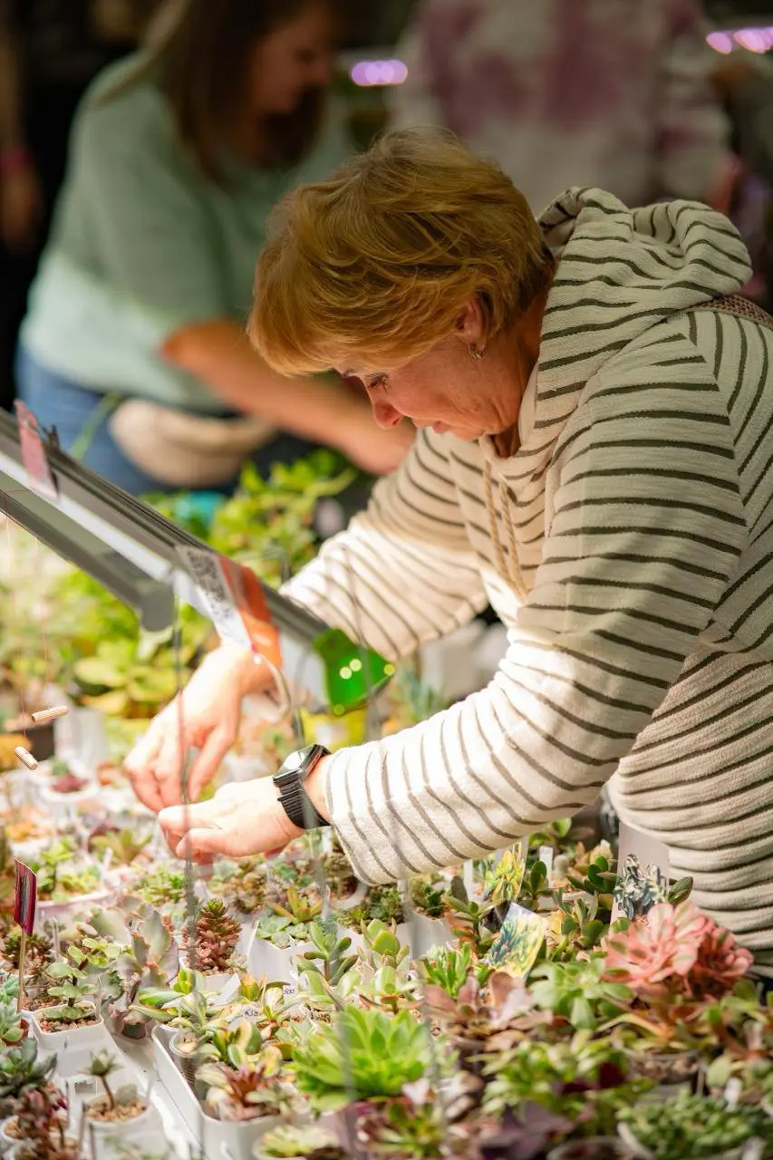 Флора Фест — зелёный фестиваль растений