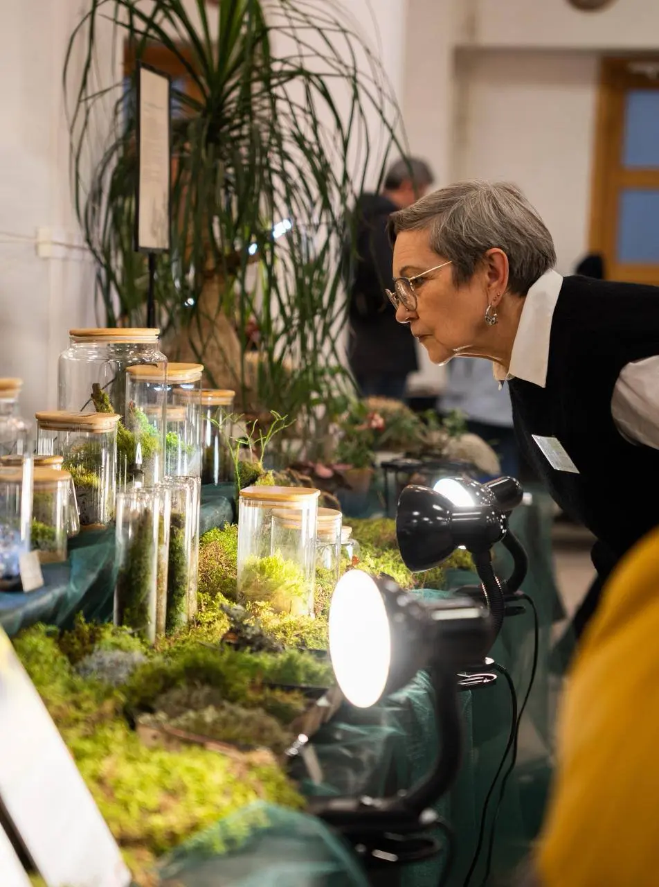 Флора Фест — зелёный фестиваль растений