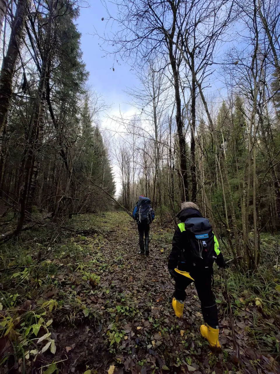 бородино-на-новый-год