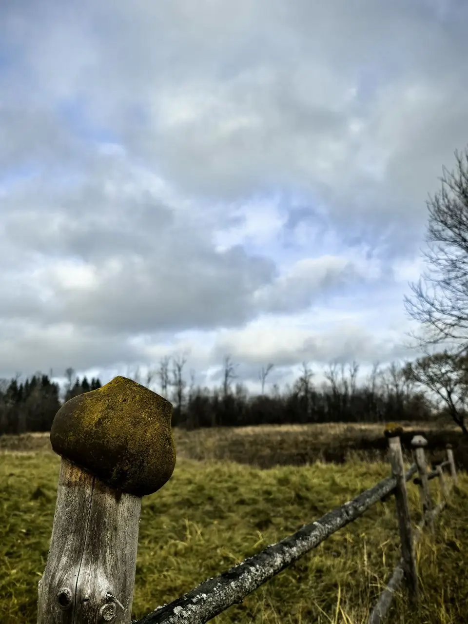 бородино-на-новый-год